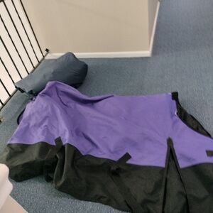 Purple Blanket That Looks Amazing On A Dark Bay Horse